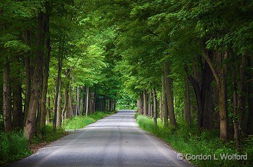 Cove Road_16830-1.jpg - Photographed near Portland, Ontario, Canada.